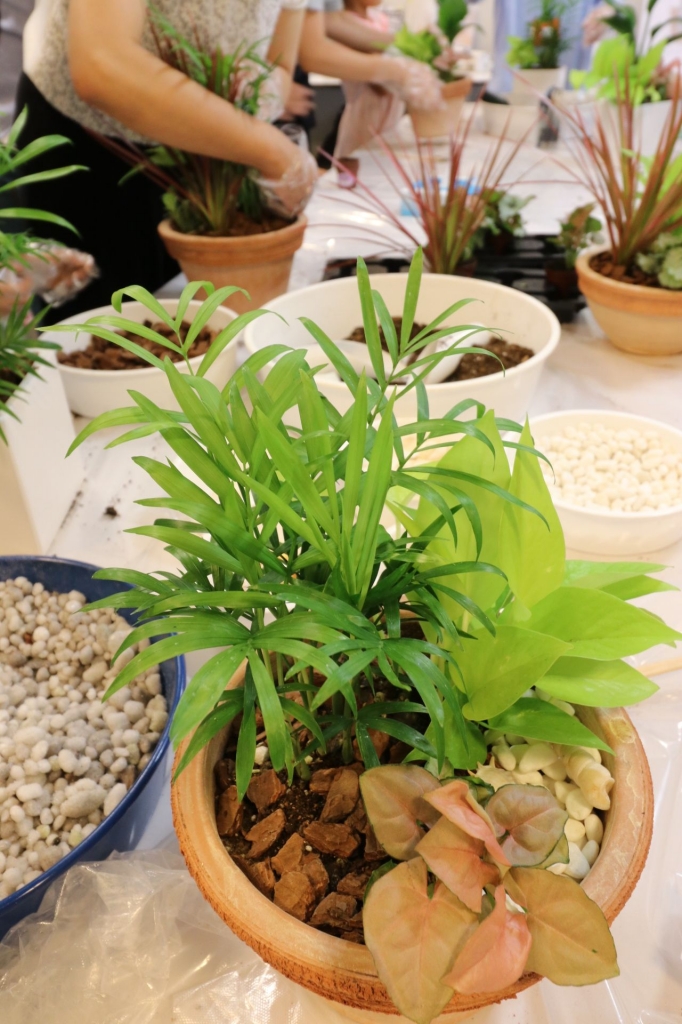 寄せ植え